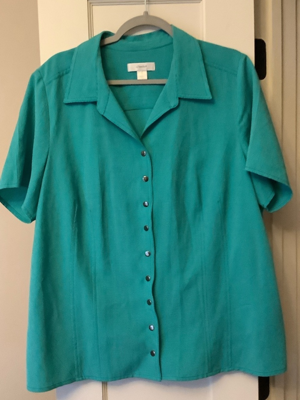 Christopher & Banks Teal Short-Sleeve Button Down Shirt